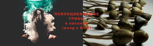 эйфоретик Кукмор