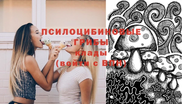 спайс Кулебаки