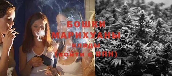спайс Кулебаки