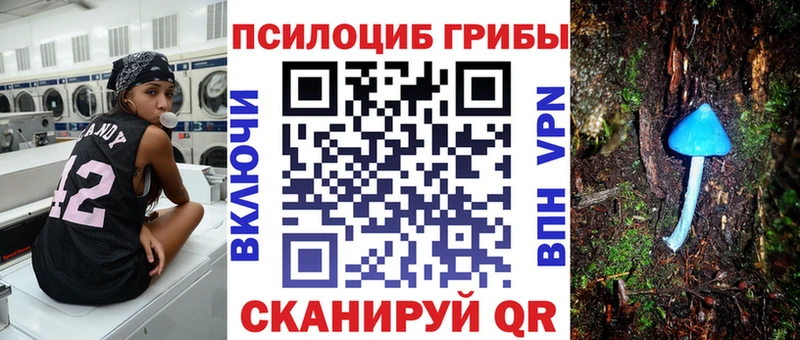Псилоцибиновые грибы прущие грибы  omg ССЫЛКА  Энгельс 