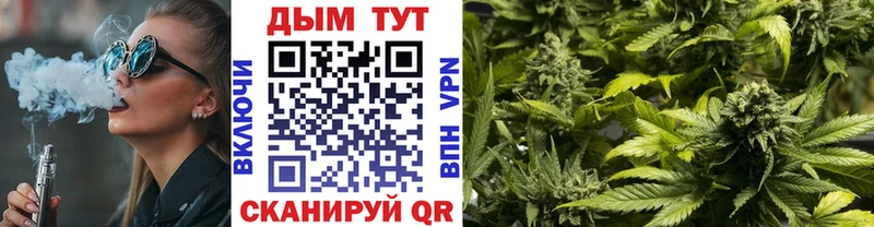 Каннабис семена  купить   Энгельс 