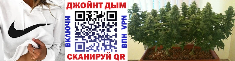 Канабис семена Энгельс